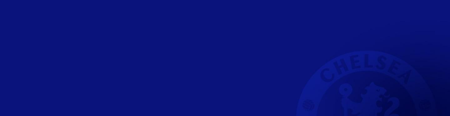 Inquiry form banner